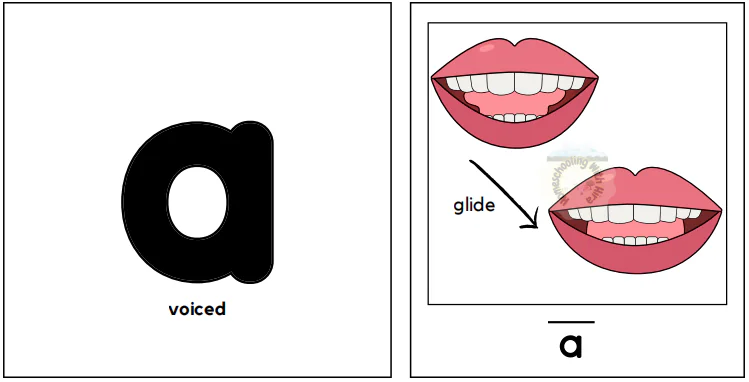 Visual Support Cards for Articulation